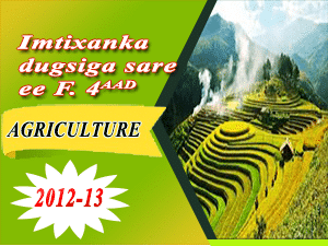 AGRICULTURE 2012-13