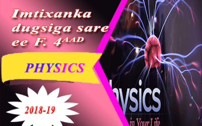 PHYSICS 2019