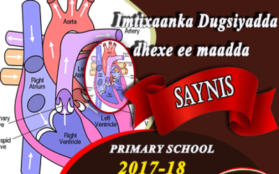 SAYNIS 2018