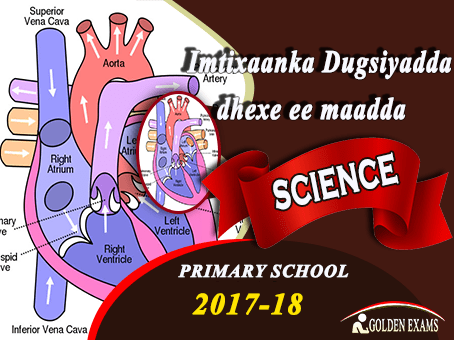 SCIENCE 2018