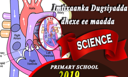 SCIENCE 2019