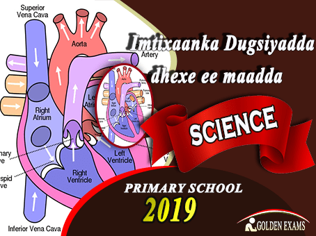 SCIENCE 2019