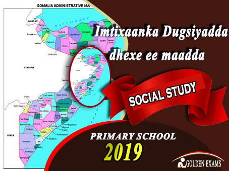 SOCIAL STUDY 2019