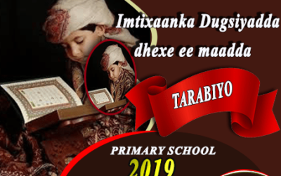 TARABIYO 2019