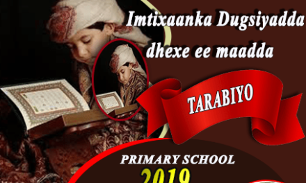 TARABIYO 2019