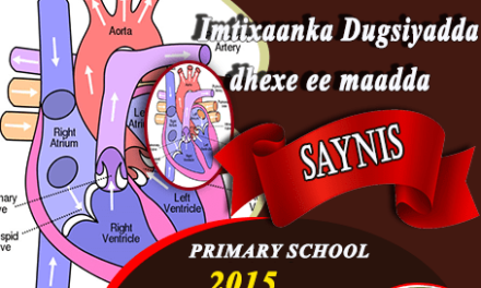 SAYNIS 2015