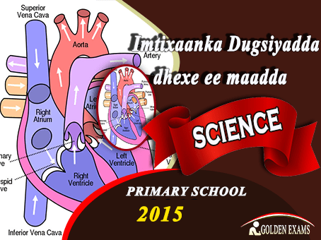 SCIENCE 2015