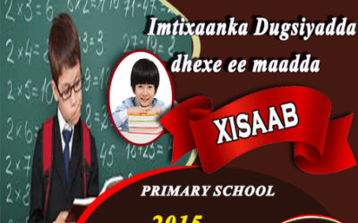 XISAAB 2015