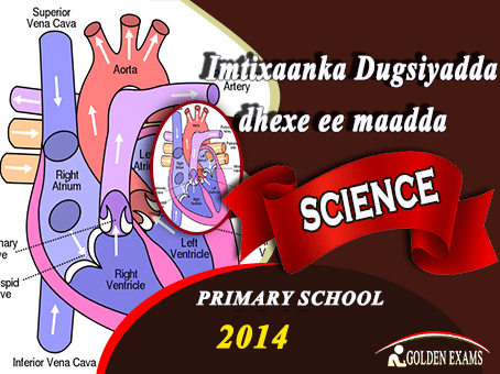 SCIENCE 2014