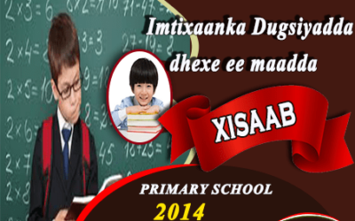 XISAAB 2014