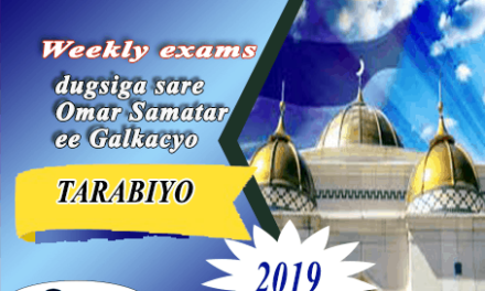 TARABIYO 2019