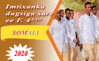 SOMALIA 2020