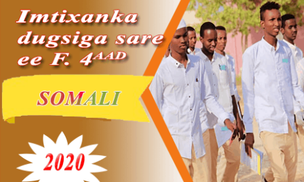 SOMALIA 2020