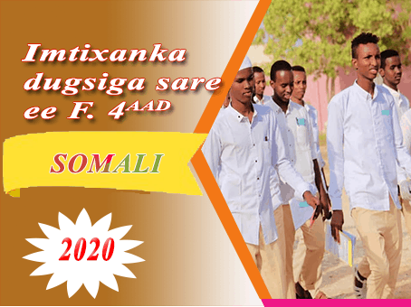 SOMALIA 2020