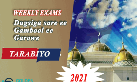 TARABIYO 2021