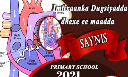 SAYNIS 2021