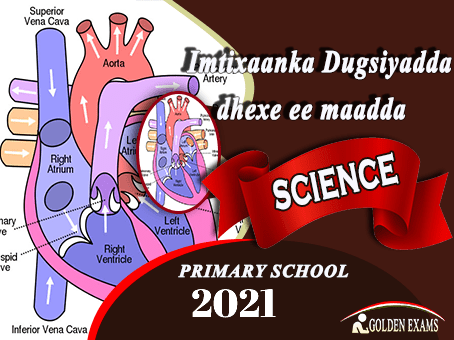 SCIENCE 2021