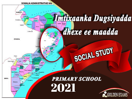 SOCIAL STUDY 2021